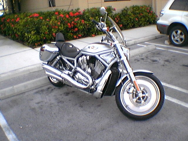 Harley Davidson 029